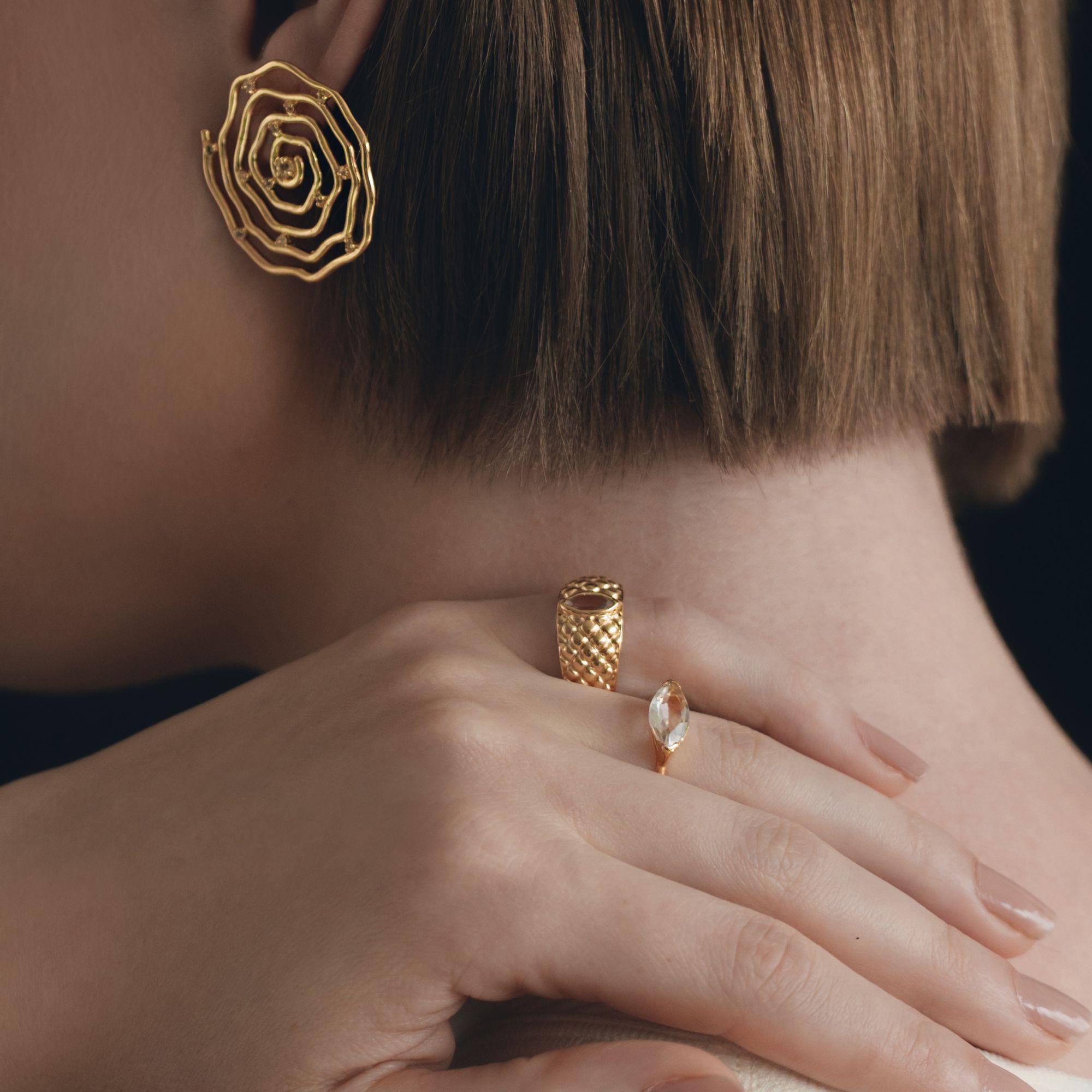 Anel Casulo - Imagem 4