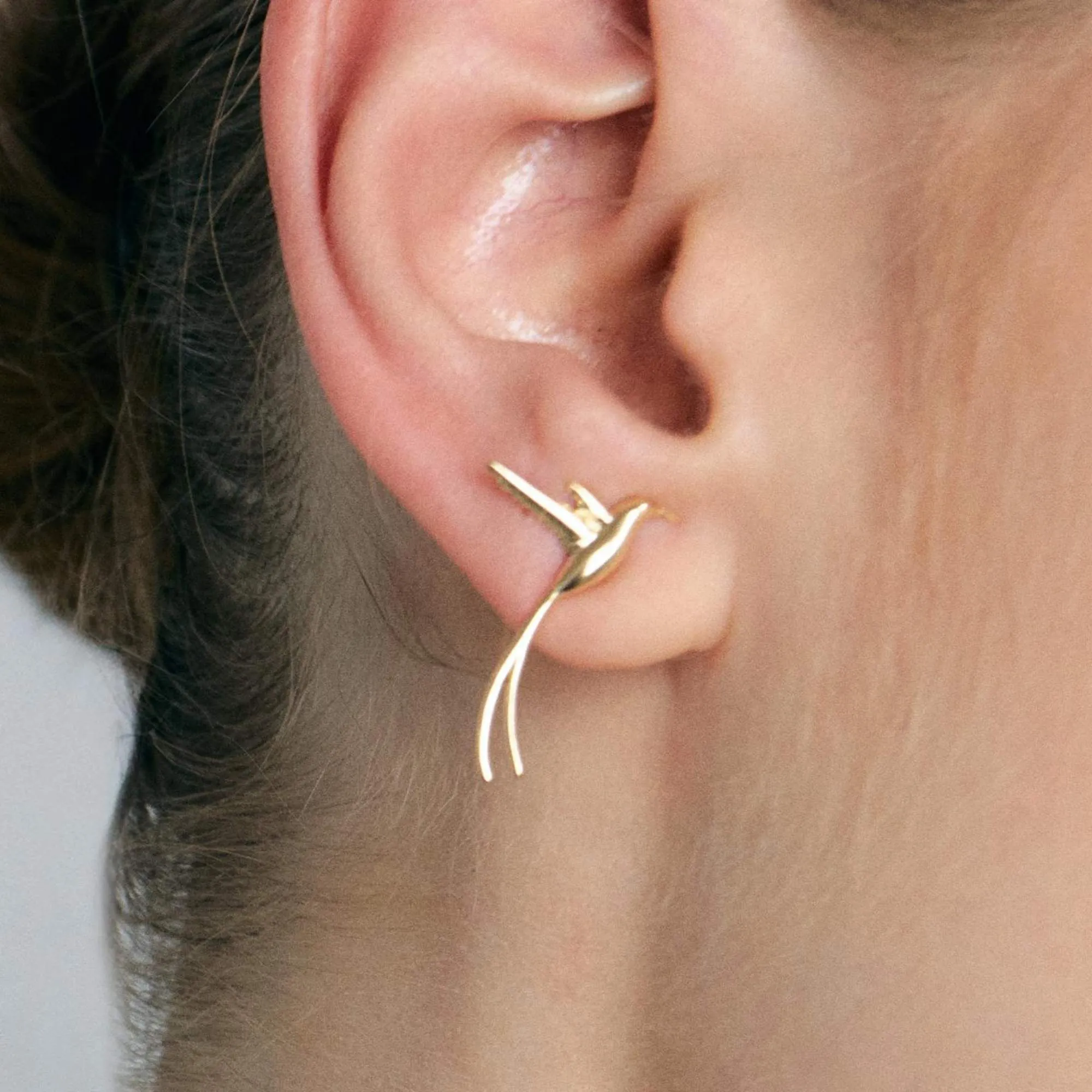 Brinco Doctor Bird Petit - Imagem 2